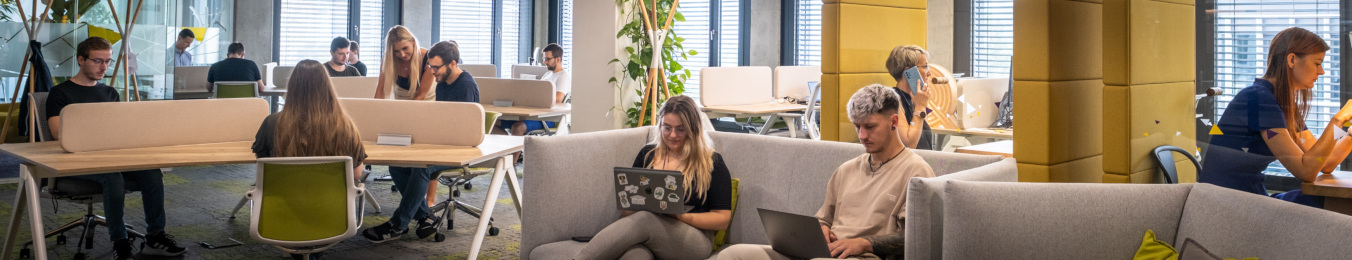 Career at Cleverlance